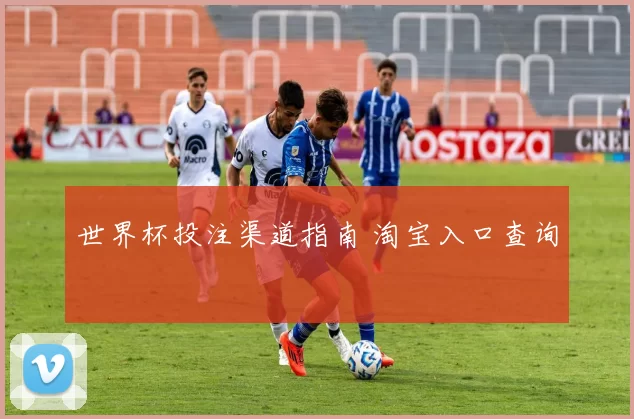 世界杯投注渠道指南 淘宝入口查询