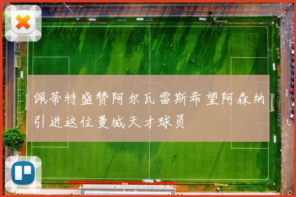 佩蒂特盛赞阿尔瓦雷斯希望阿森纳引进这位曼城天才球员