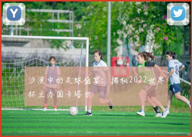 沙漠中的足球盛宴:揭秘2022世界杯主办国卡塔尔