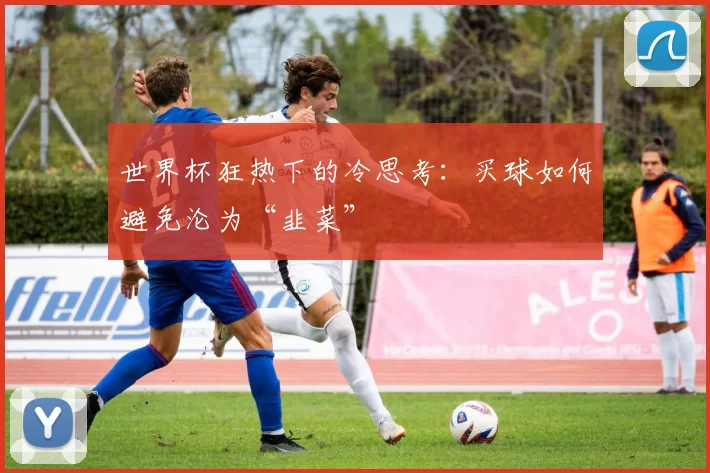 世界杯狂热下的冷思考：买球如何避免沦为“韭菜”