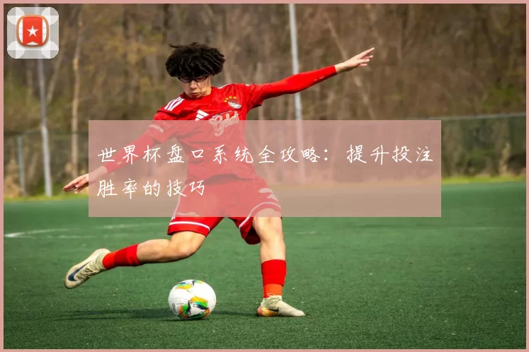 世界杯盘口系统全攻略:提升投注胜率的技巧