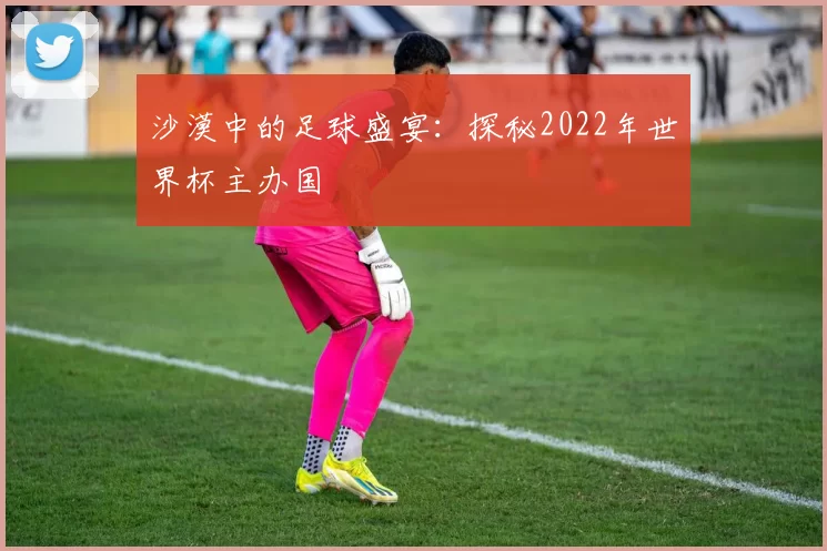 沙漠中的足球盛宴:探秘2022年世界杯主办国