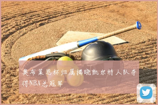 奥布莱恩杯归属揭晓凯尔特人队夺得NBA总冠军