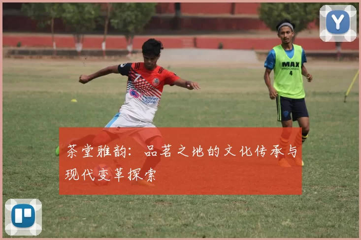 茶堂雅韵：品茗之地的文化传承与现代变革探索