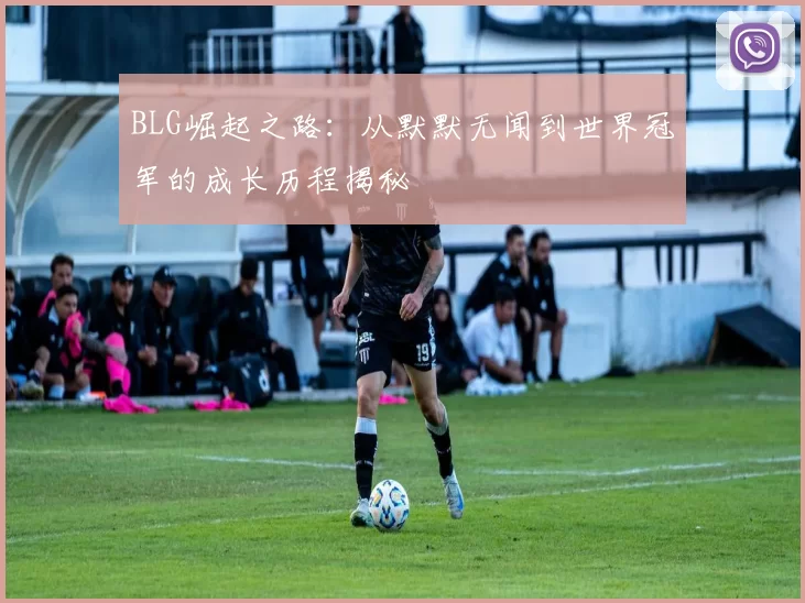 BLG崛起之路:从默默无闻到世界冠军的成长历程揭秘