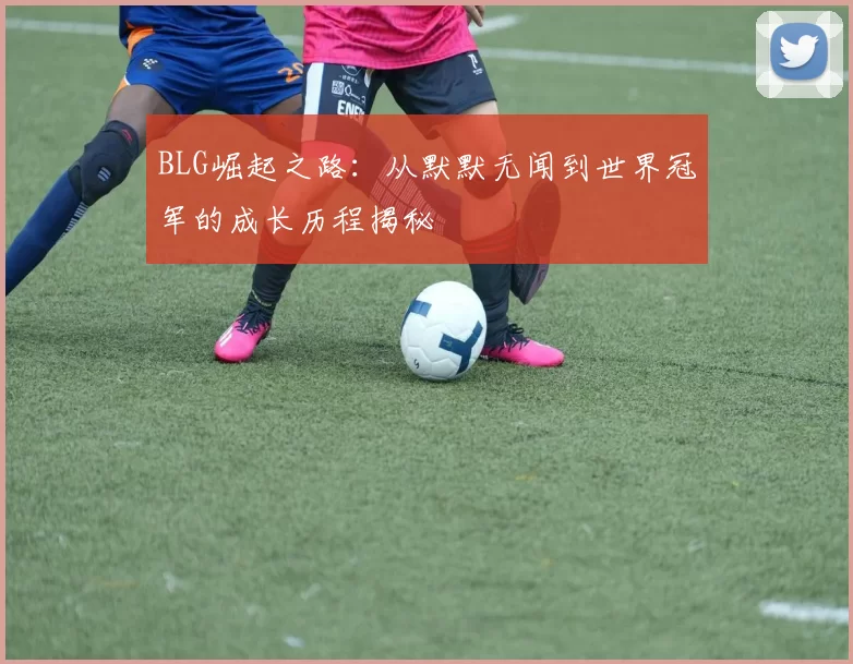 BLG崛起之路:从默默无闻到世界冠军的成长历程揭秘