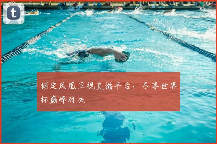 锁定凤凰卫视直播平台,尽享世界杯巅峰对决