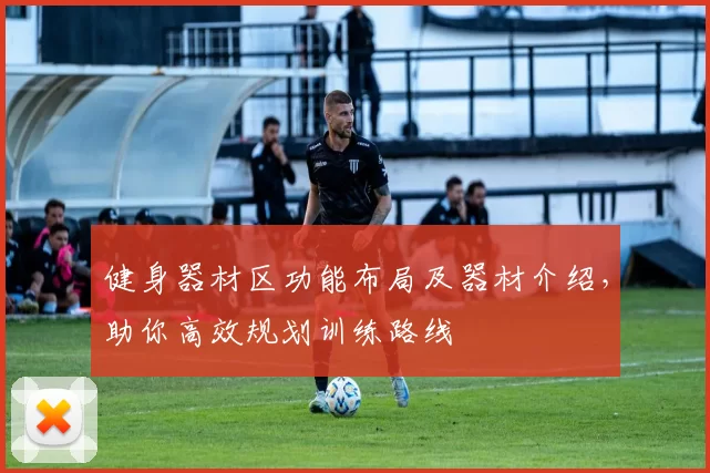 健身器材区功能布局及器材介绍，助你高效规划训练路线