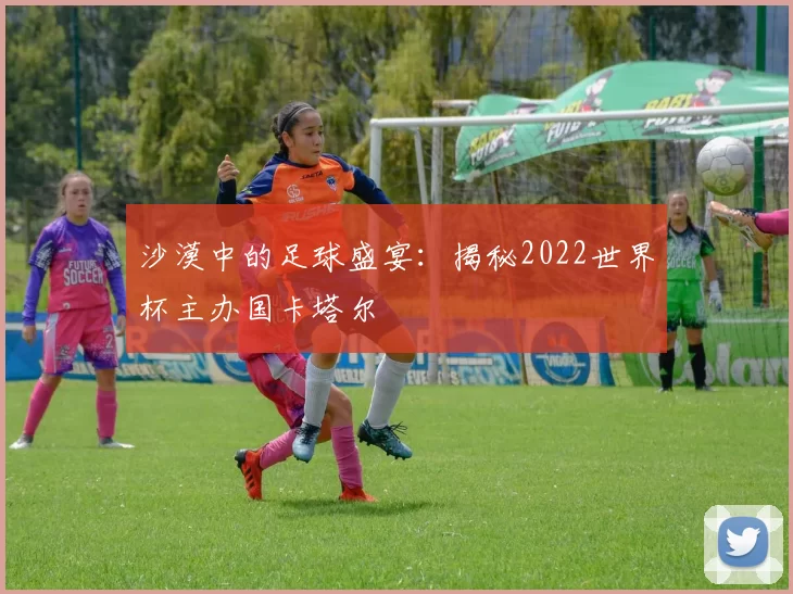 沙漠中的足球盛宴:揭秘2022世界杯主办国卡塔尔