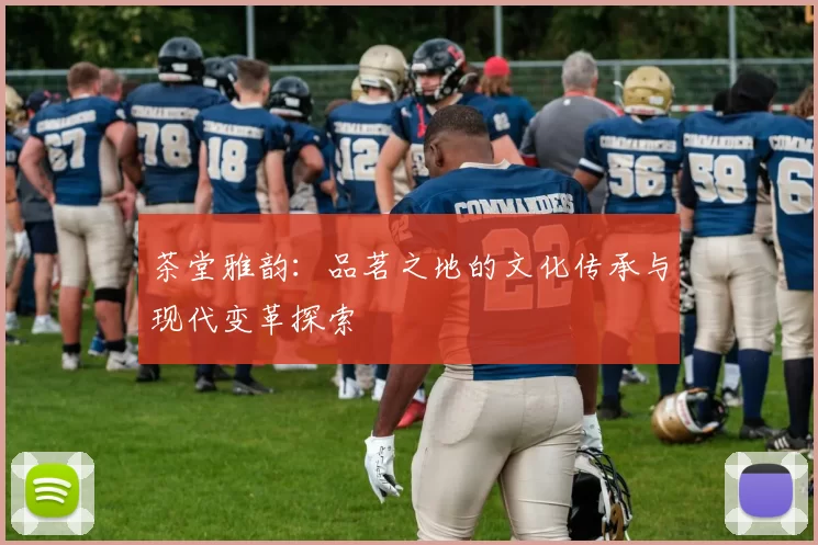 茶堂雅韵：品茗之地的文化传承与现代变革探索