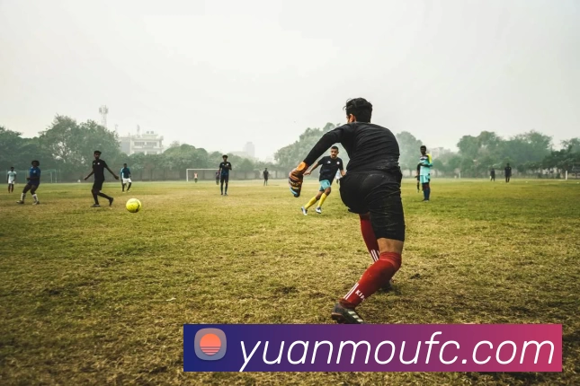 九游体育APP 高清赛事图